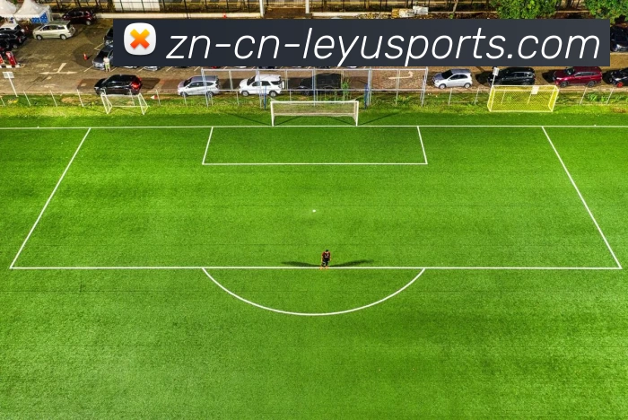 乐鱼官网发展历程